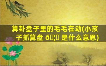 算卦盘子里的毛毛在动(小孩子抓算盘 🦈 是什么意思)